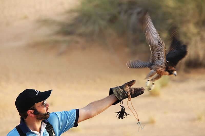Dubai : United Arab Emirates  : Travel : Photos :  Richard Moore Photography : Photographer : 